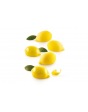 Moule en Silicone Limone & Lime 30