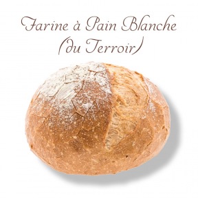 Farine à Pain Blanche Terroir