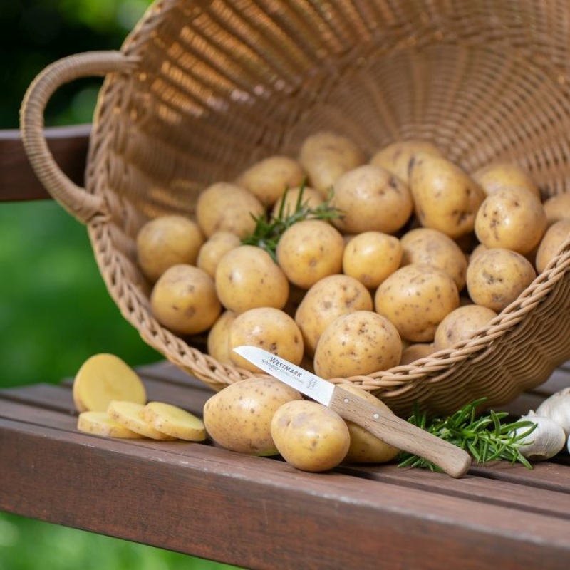 couteau droit, couteau éplucheur, ustensiles cuisine.