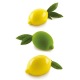 Moule en Silicone Limone & Lime 30