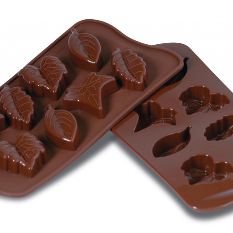 Moules à Chocolat Silicone Nature - Easychoc