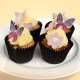 Papillons en azyme