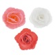 Roses en azyme