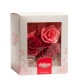 Roses en azyme